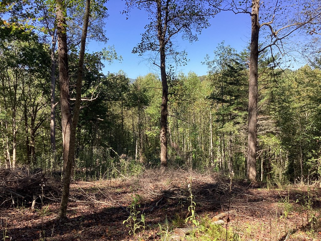 Lot 2 Buckhead Hills Property Photo 14