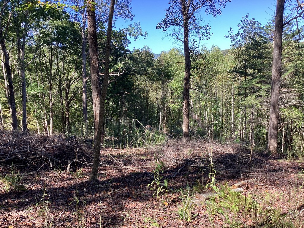Lot 2 Buckhead Hills Property Photo 15