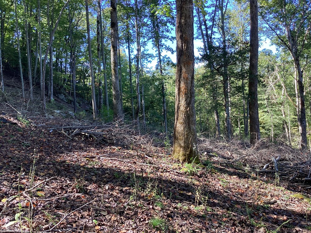 Lot 2 Buckhead Hills Property Photo 16