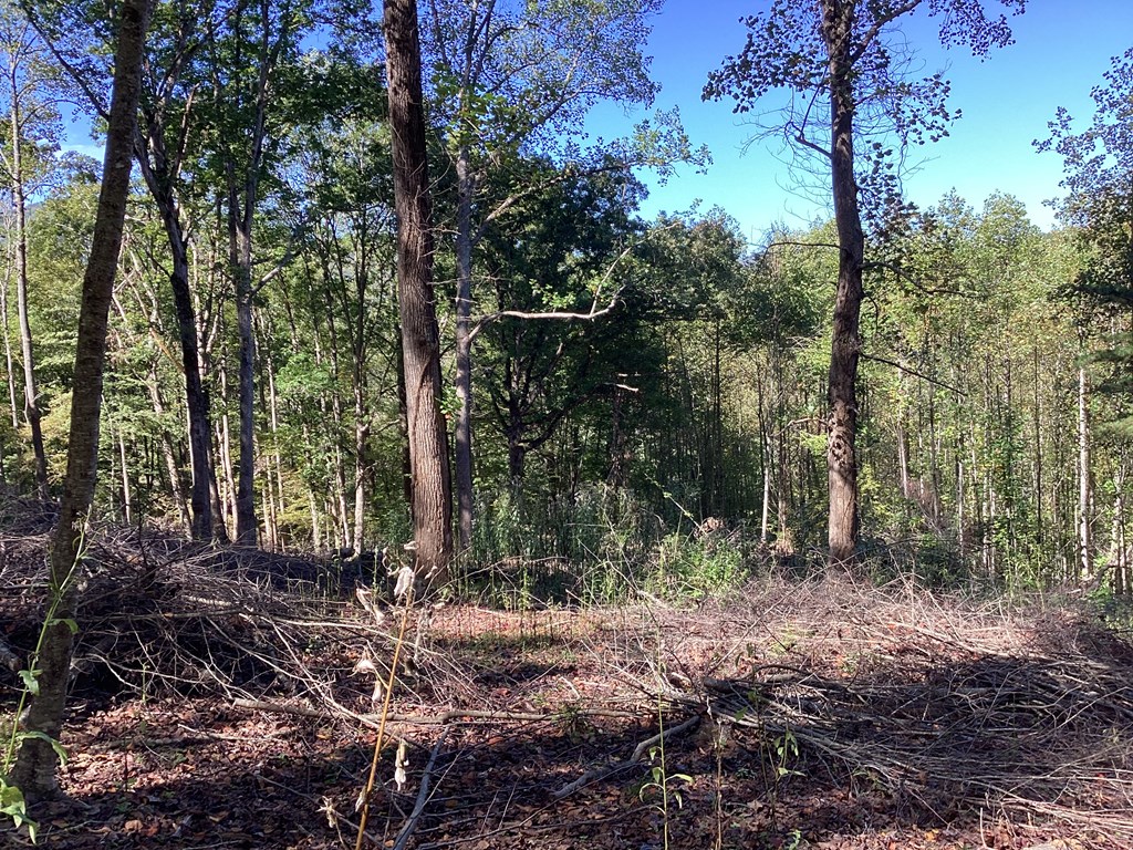 Lot 2 Buckhead Hills Property Photo 17