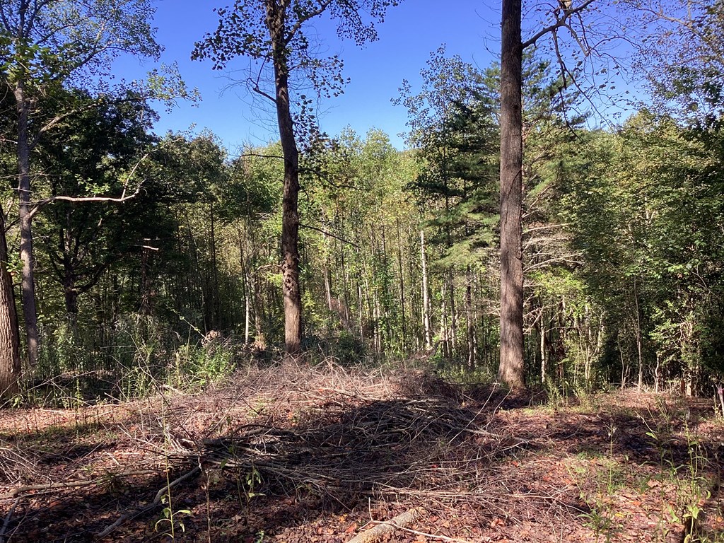 Lot 2 Buckhead Hills Property Photo 18
