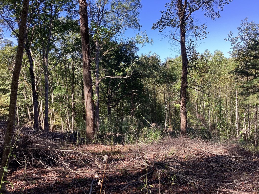 Lot 2 Buckhead Hills Property Photo 19
