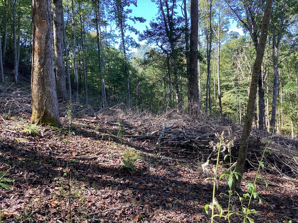 Lot 2 Buckhead Hills Property Photo 20