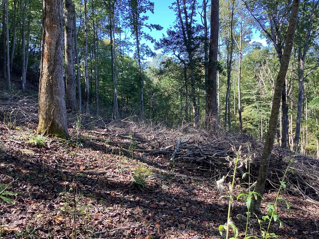 Lot 2 Buckhead Hills Property Photo 21