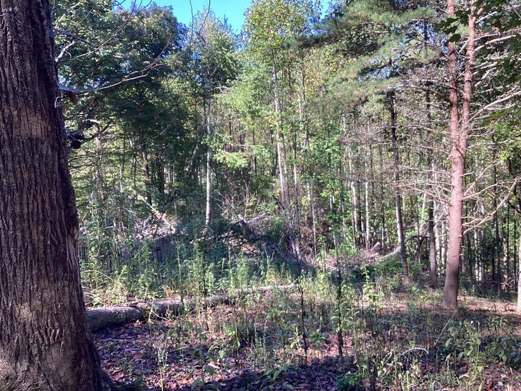 Lot 2 Buckhead Hills Property Photo 26