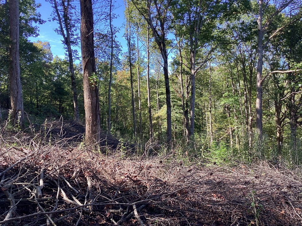 Lot 2 Buckhead Hills Property Photo 27