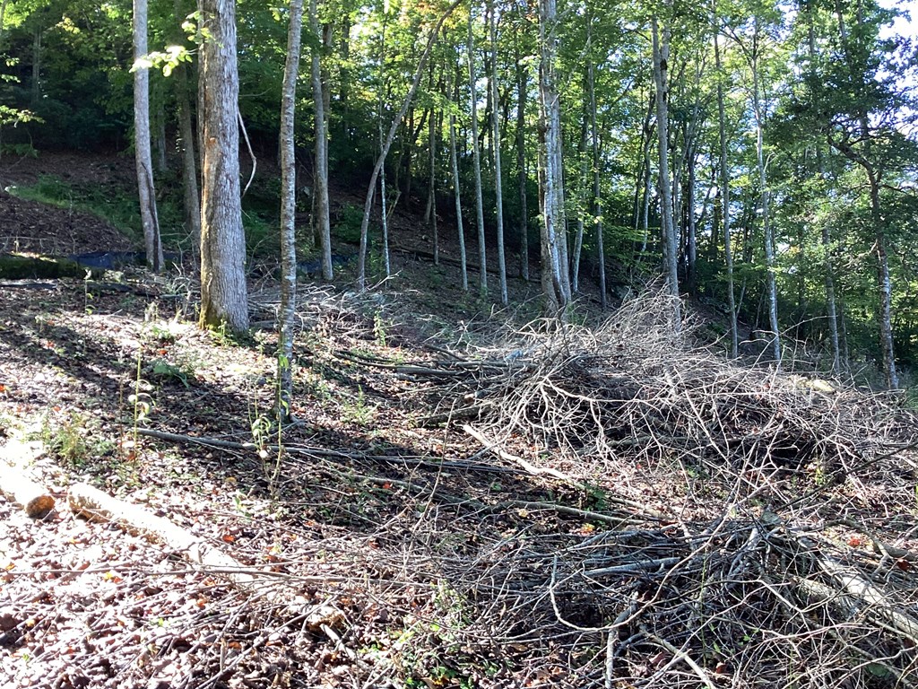 Lot 2 Buckhead Hills Property Photo 28