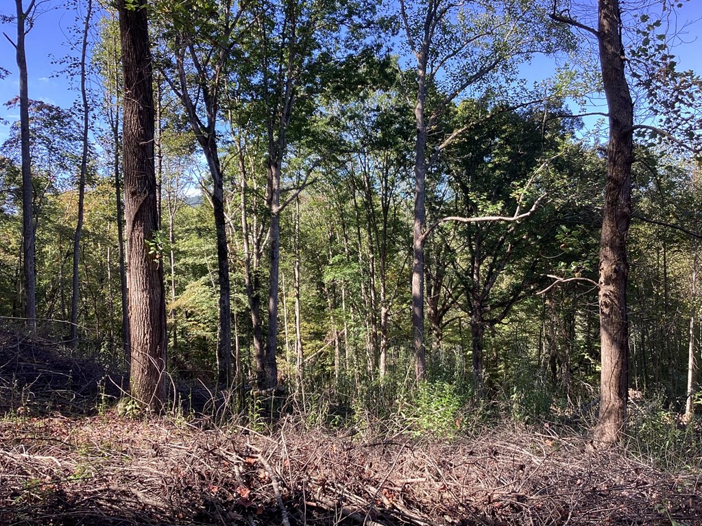 Lot 2 Buckhead Hills Property Photo 29