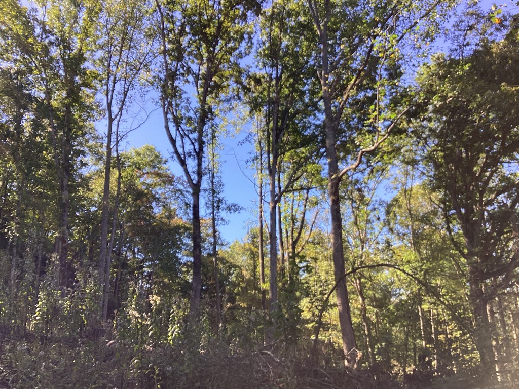 Lot 2 Buckhead Hills Property Photo 31