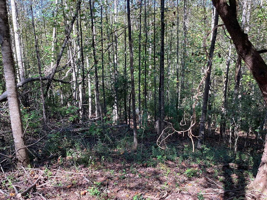Lot 2 Buckhead Hills Property Photo 33