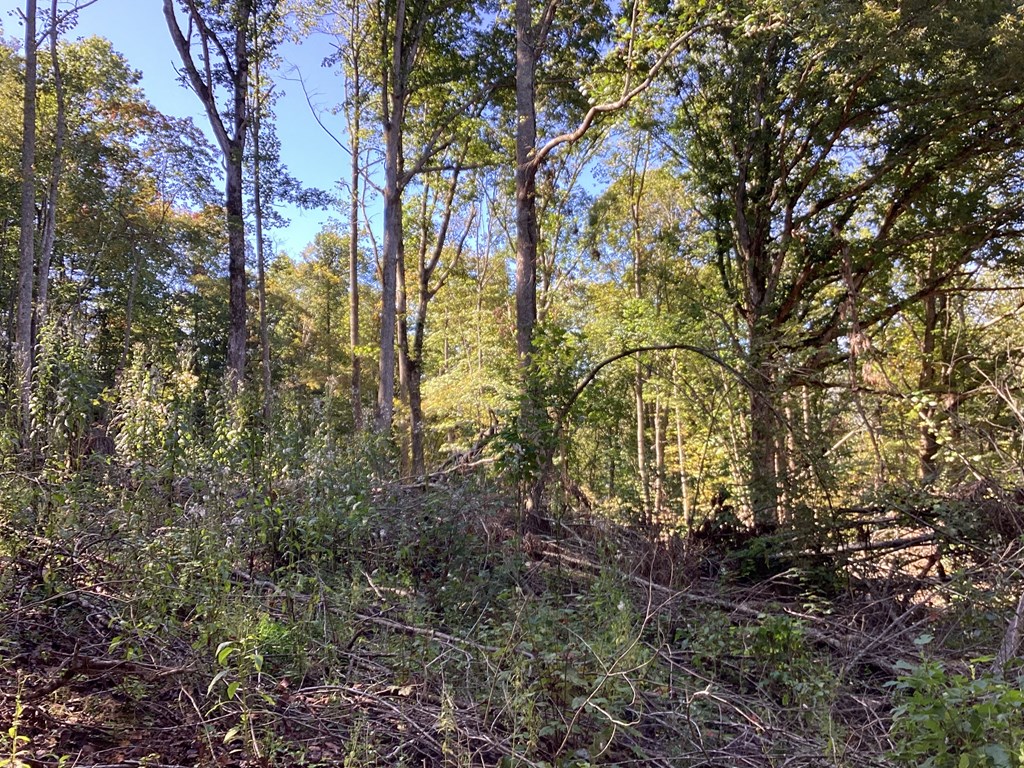 Lot 2 Buckhead Hills Property Photo 34