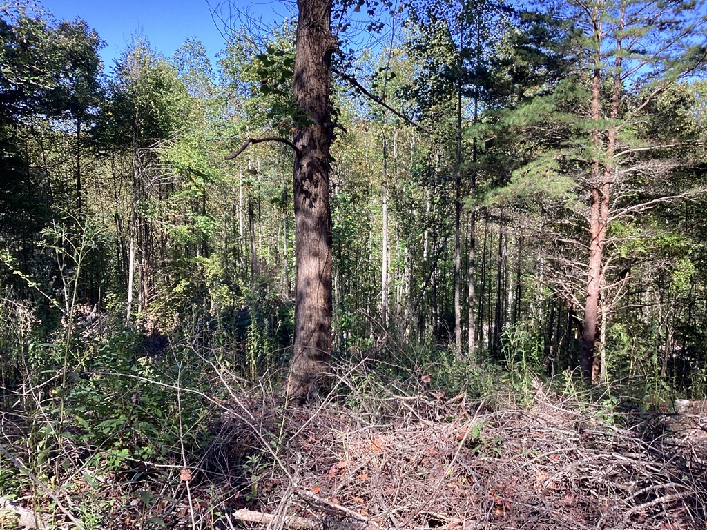 Lot 2 Buckhead Hills Property Photo 37