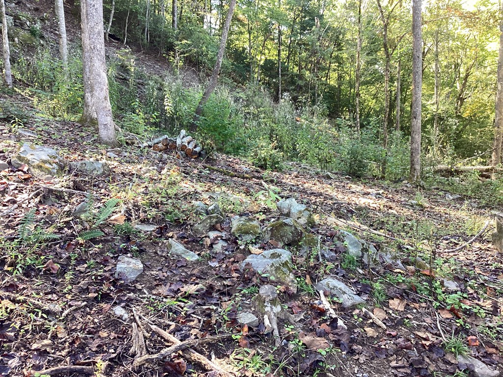Lot 2 Buckhead Hills Property Photo 46