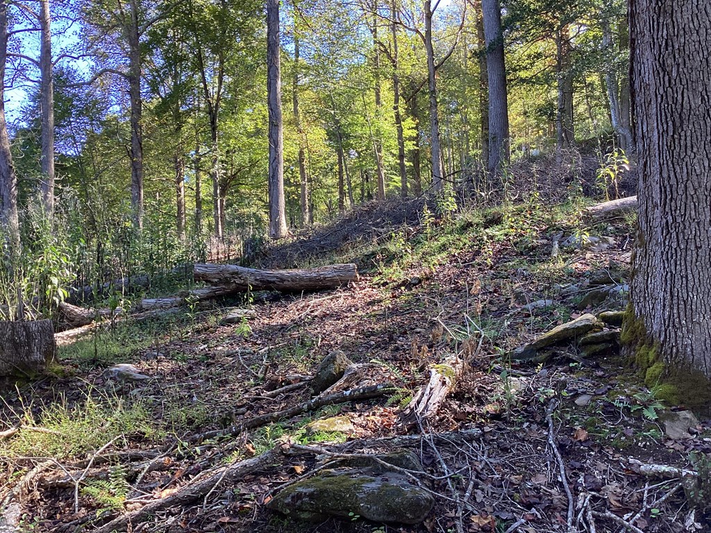 Lot 2 Buckhead Hills Property Photo 48