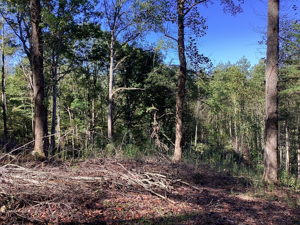 Lot 2 Buckhead Hills Property Photo 52