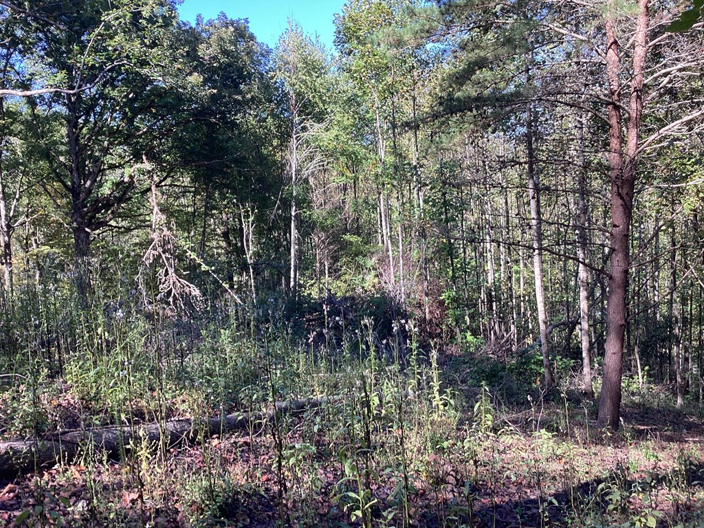Lot 2 Buckhead Hills Property Photo 54