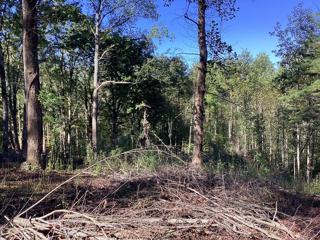 Lot 2 Buckhead Hills Property Photo 57