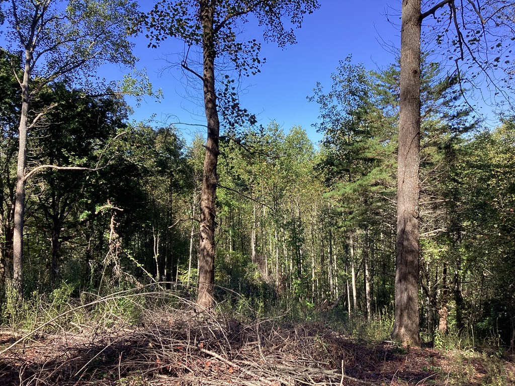Lot 2 Buckhead Hills Property Photo 58