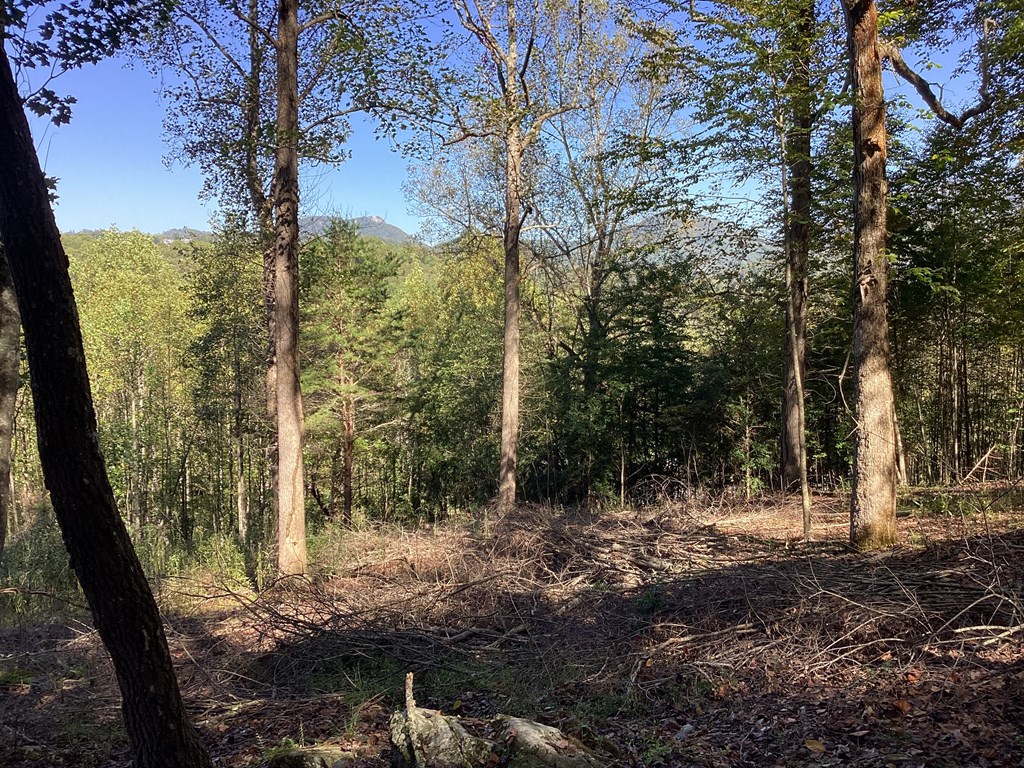 Lot 2 Buckhead Hills Property Photo 59