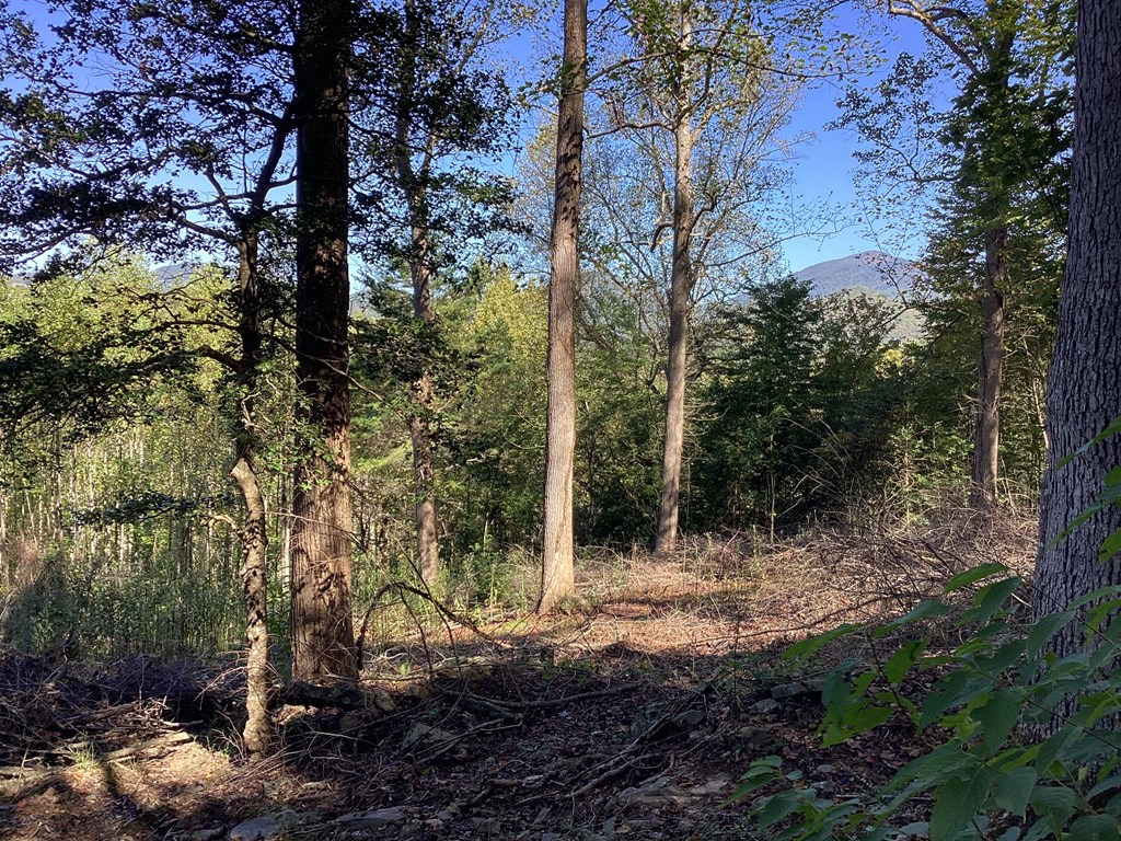 Lot 2 Buckhead Hills Property Photo 60