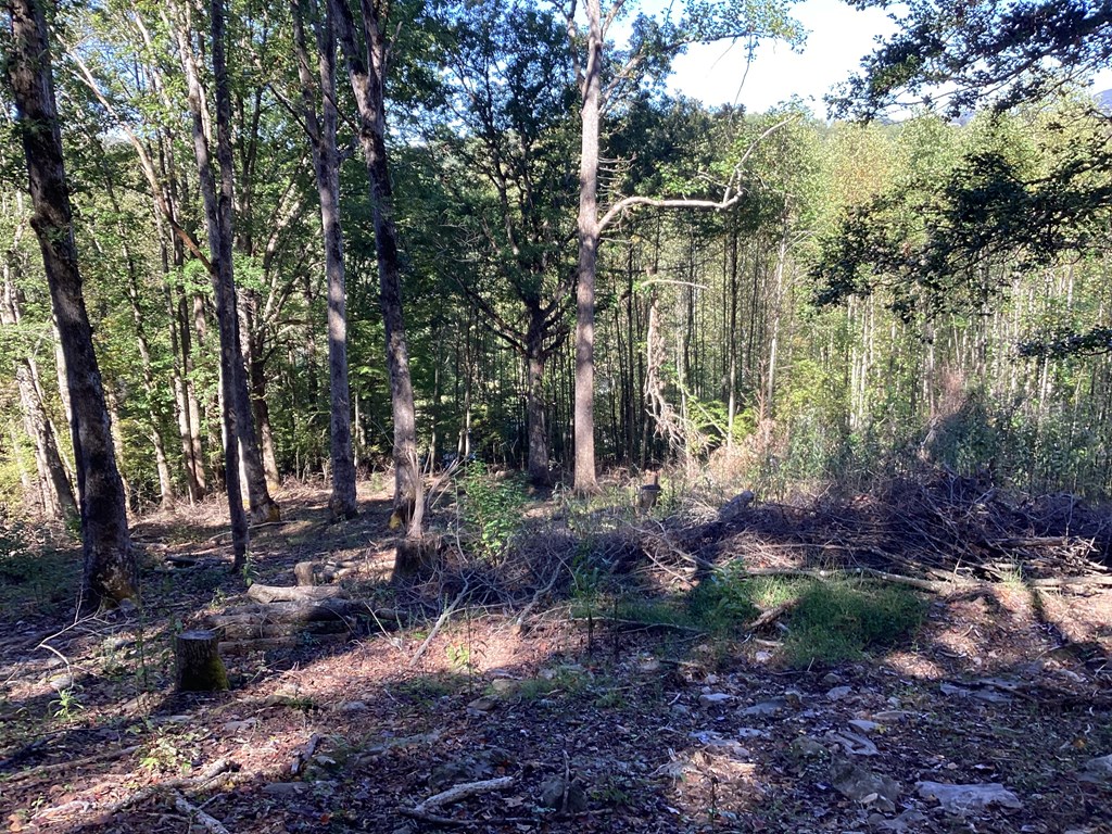 Lot 2 Buckhead Hills Property Photo 61