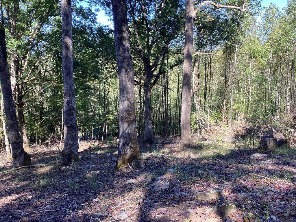 Lot 2 Buckhead Hills Property Photo 62