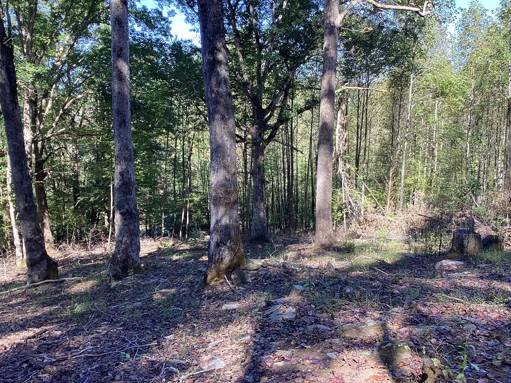 Lot 2 Buckhead Hills Property Photo 63