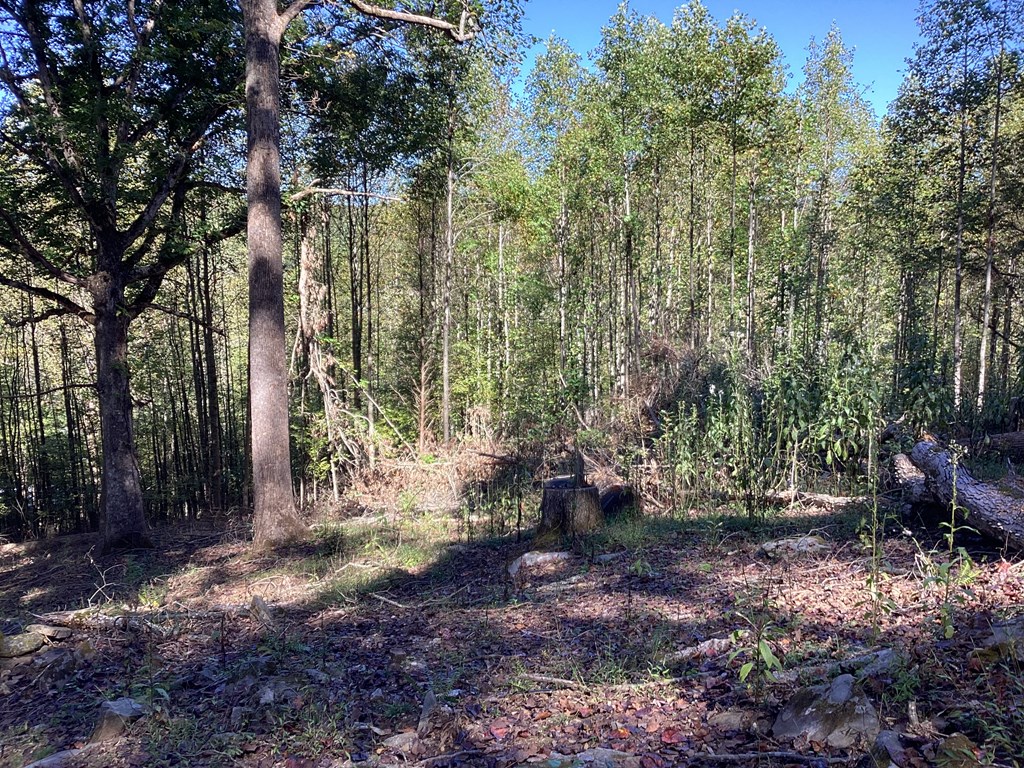 Lot 2 Buckhead Hills Property Photo 64