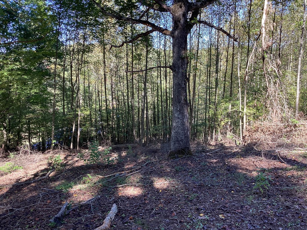 Lot 2 Buckhead Hills Property Photo 65