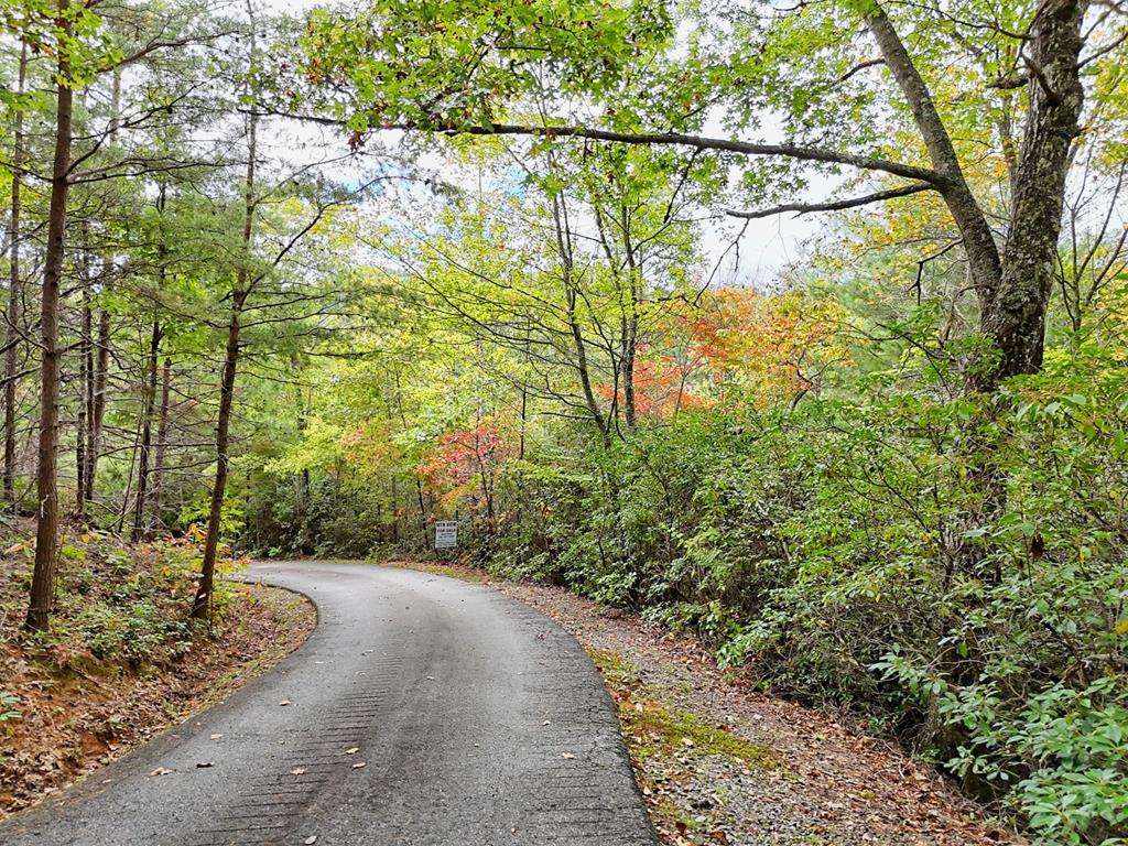 Lot 12 Smokin Ridge Property Photo 1