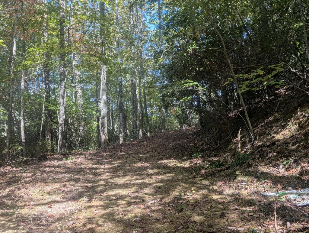 5.47 Ac Sierra Run Property Photo 11