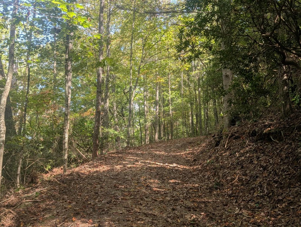 5.47 Ac Sierra Run Property Photo 12