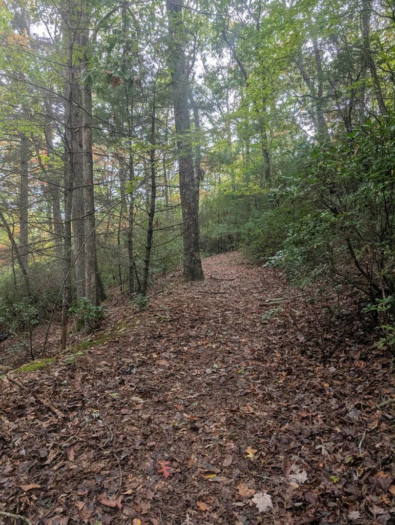 5.47 Ac Sierra Run Property Photo 15