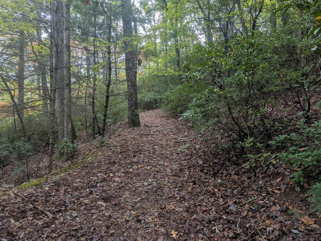 5.47 Ac Sierra Run Property Photo 17