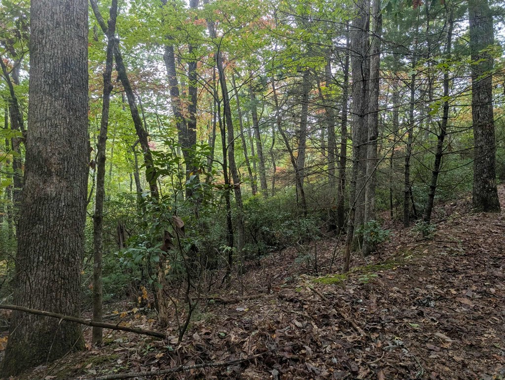 5.47 Ac Sierra Run Property Photo 19