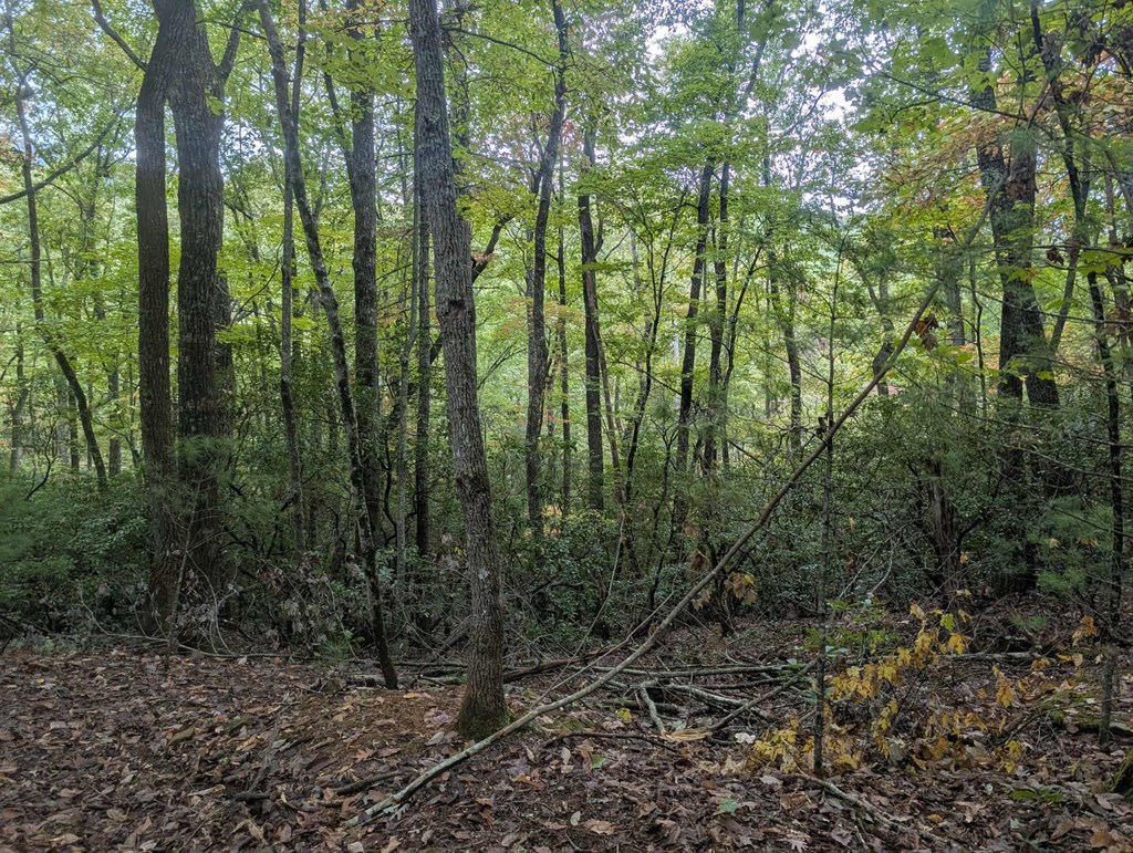 5.47 Ac Sierra Run Property Photo 20