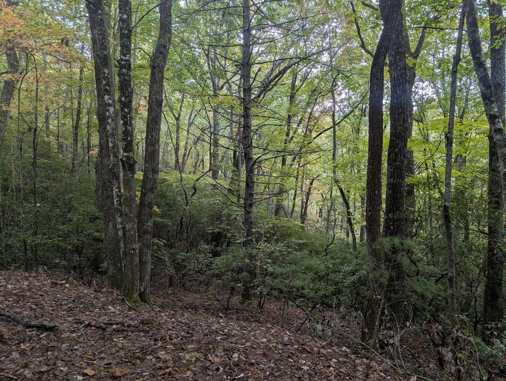 5.47 Ac Sierra Run Property Photo 23