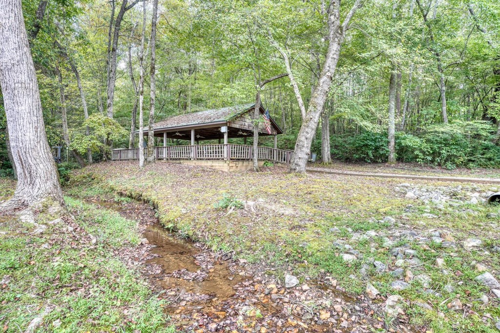 65 Choestoe Valley Lane Property Photo 22