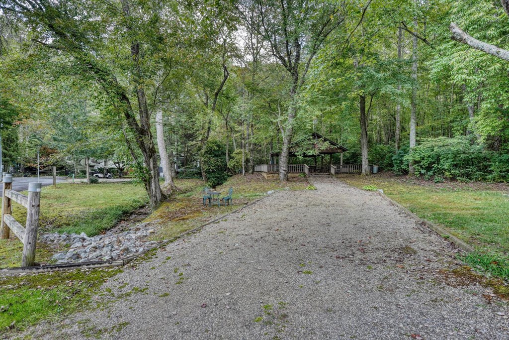 65 Choestoe Valley Lane Property Photo 23