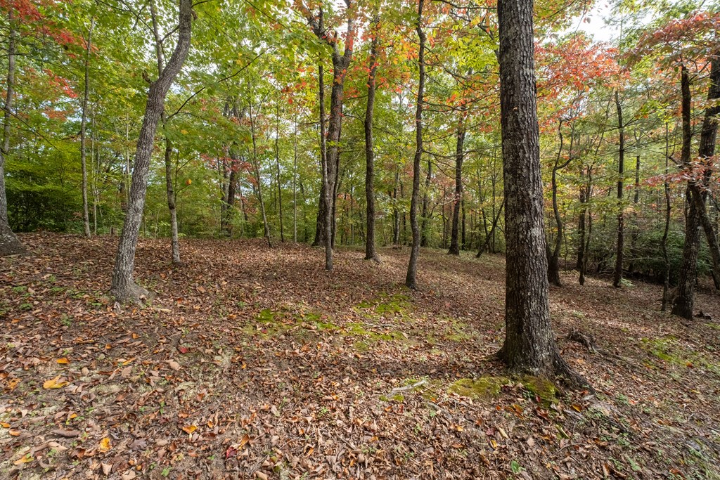 891 Deerfield Property Photo 47