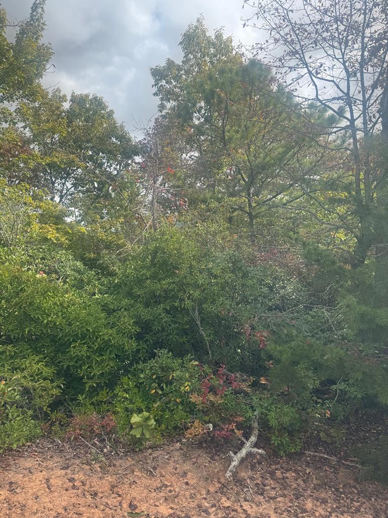 Lot 16 Brown Hawk Property Photo 1