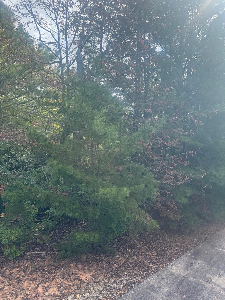 Lot 16 Brown Hawk Property Photo 2