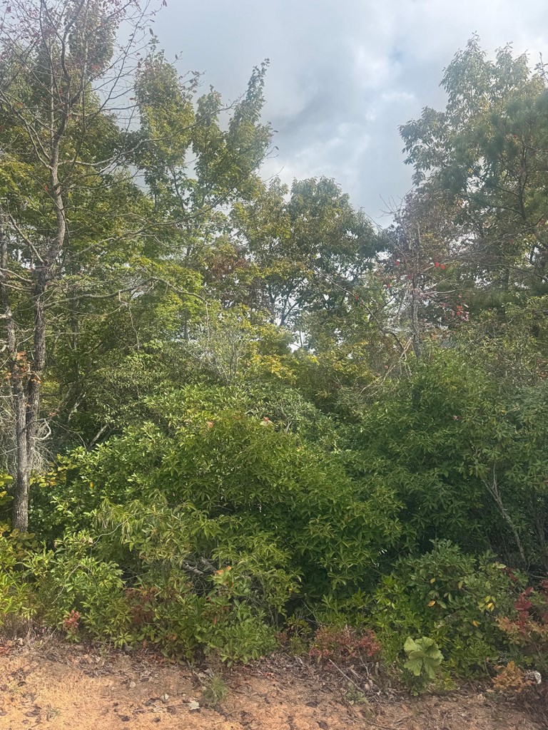 Lot 16 Brown Hawk Property Photo 3