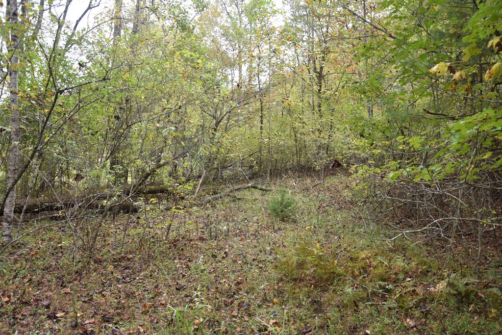 361 River Cove Property Photo 4