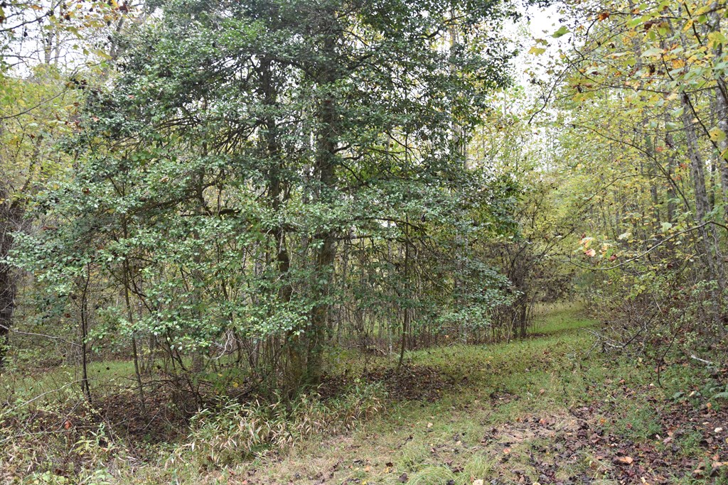 361 River Cove Property Photo 5