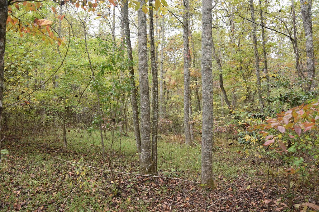 361 River Cove Property Photo 6