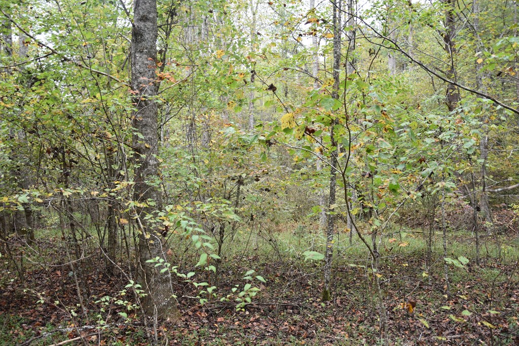 361 River Cove Property Photo 7