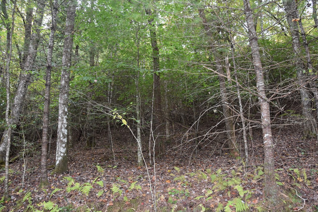361 River Cove Property Photo 9