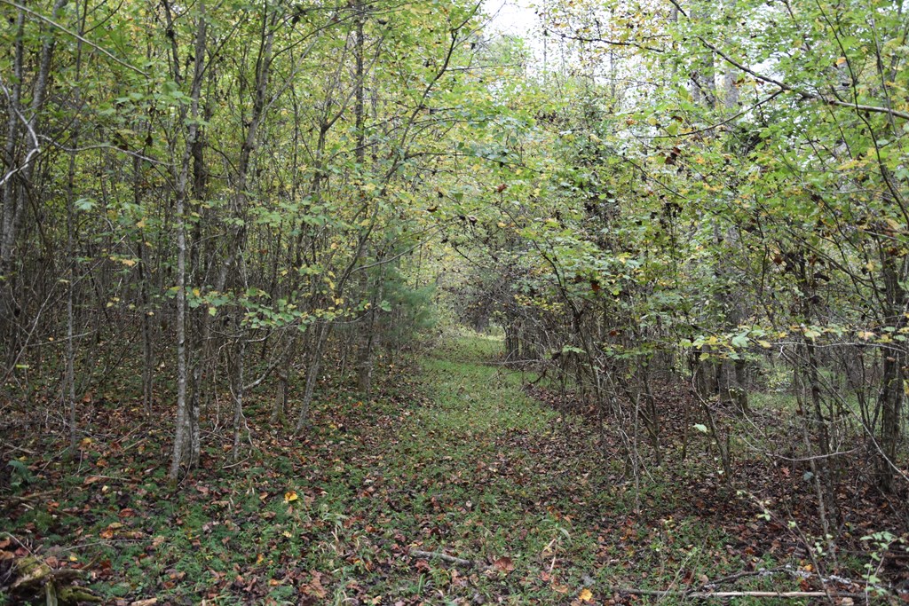 361 River Cove Property Photo 10