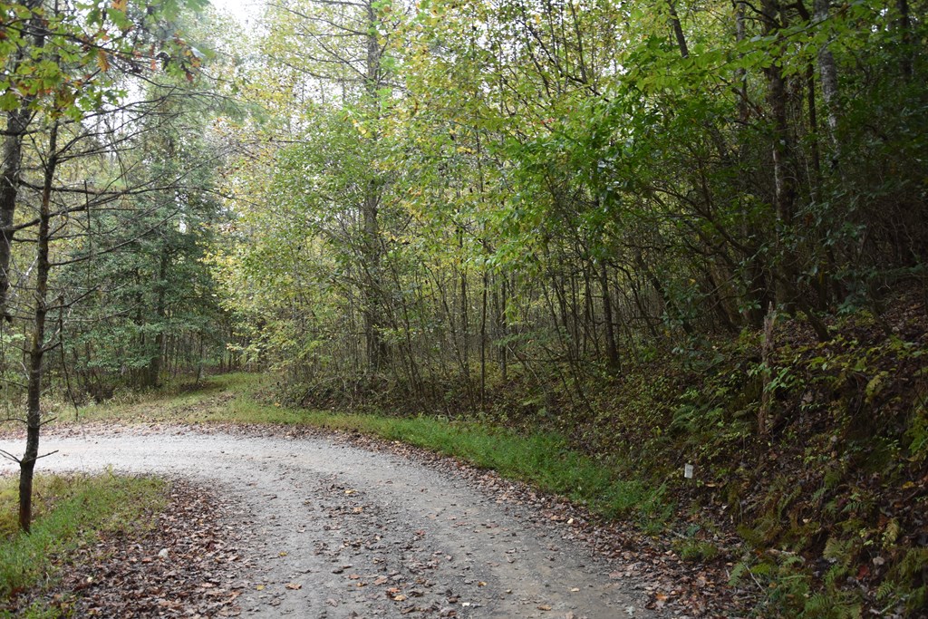 361 River Cove Property Photo 13